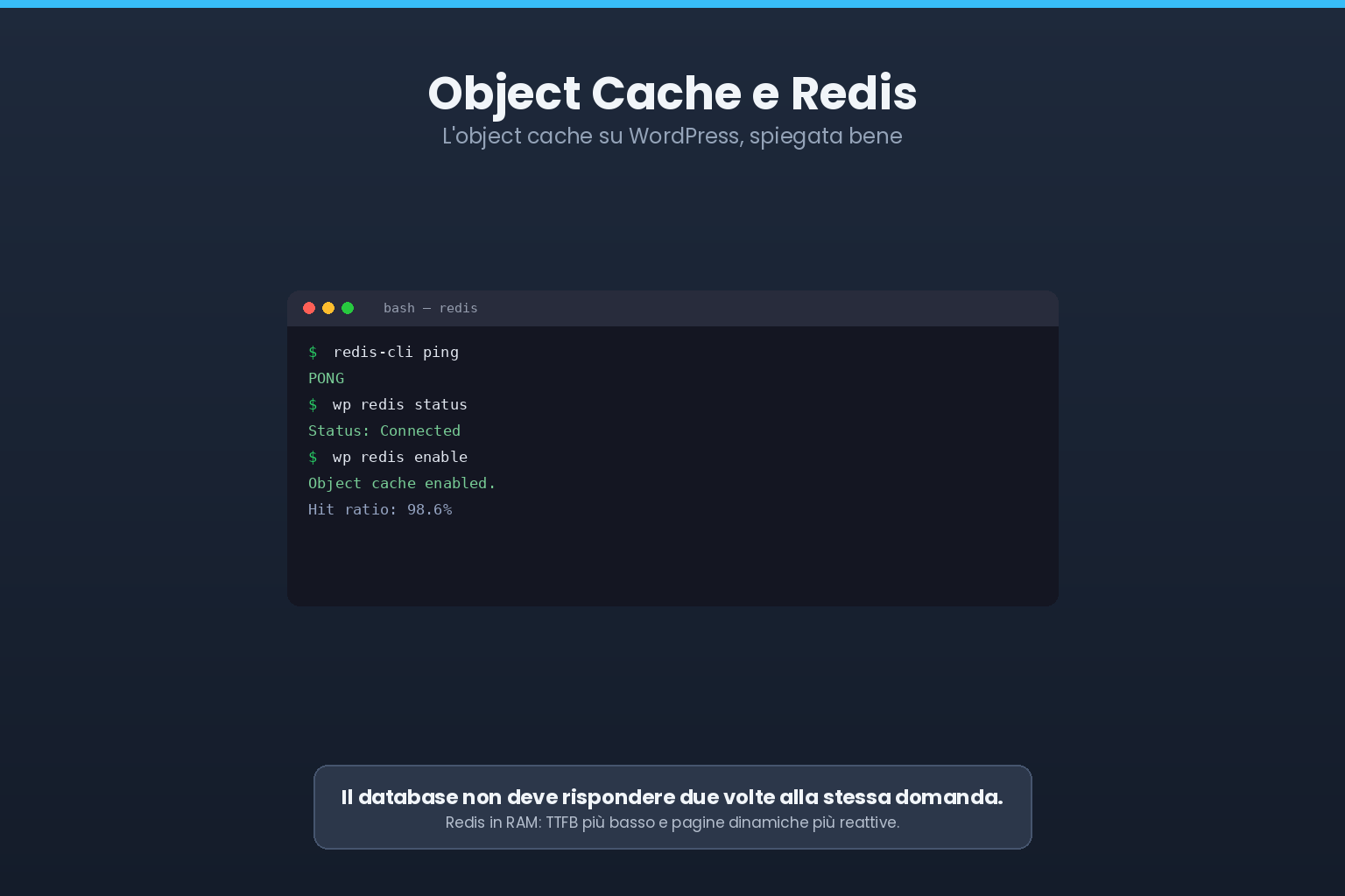 Object cache con Redis su WordPress: stato della connessione e hit ratio da terminale
